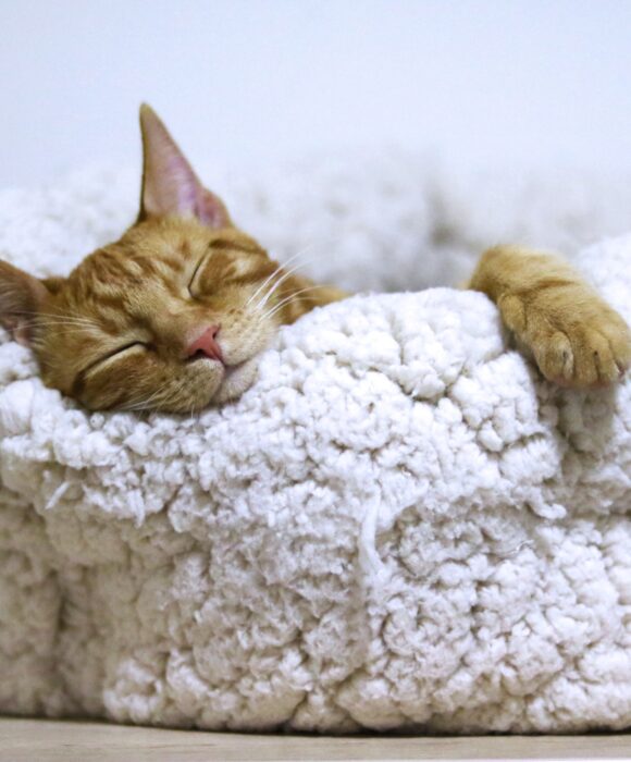 Mach mal Pause!